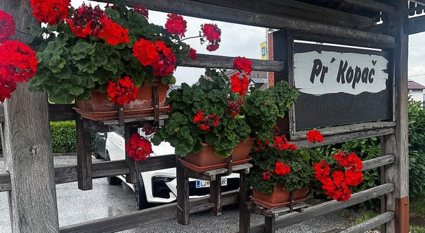 Domaća pašteta i hortikultura – čudan spoj ili ipak ne?