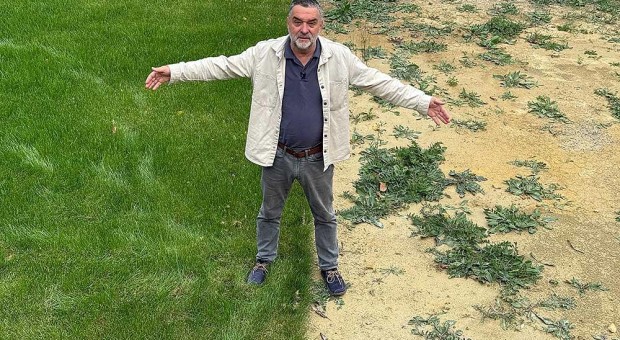 Kako da prepoznate da vaš travnjak treba dosejati – 3 znaka koja ne smete ignorisati