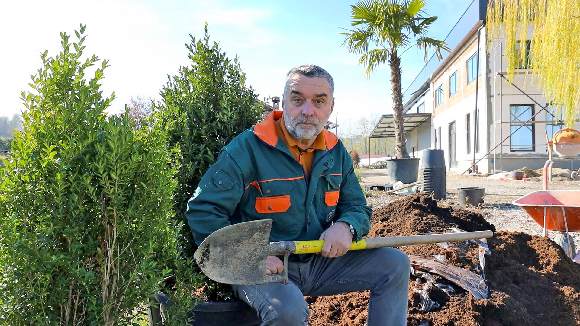 Kako pravilno presaditi biljke bez oštećenja