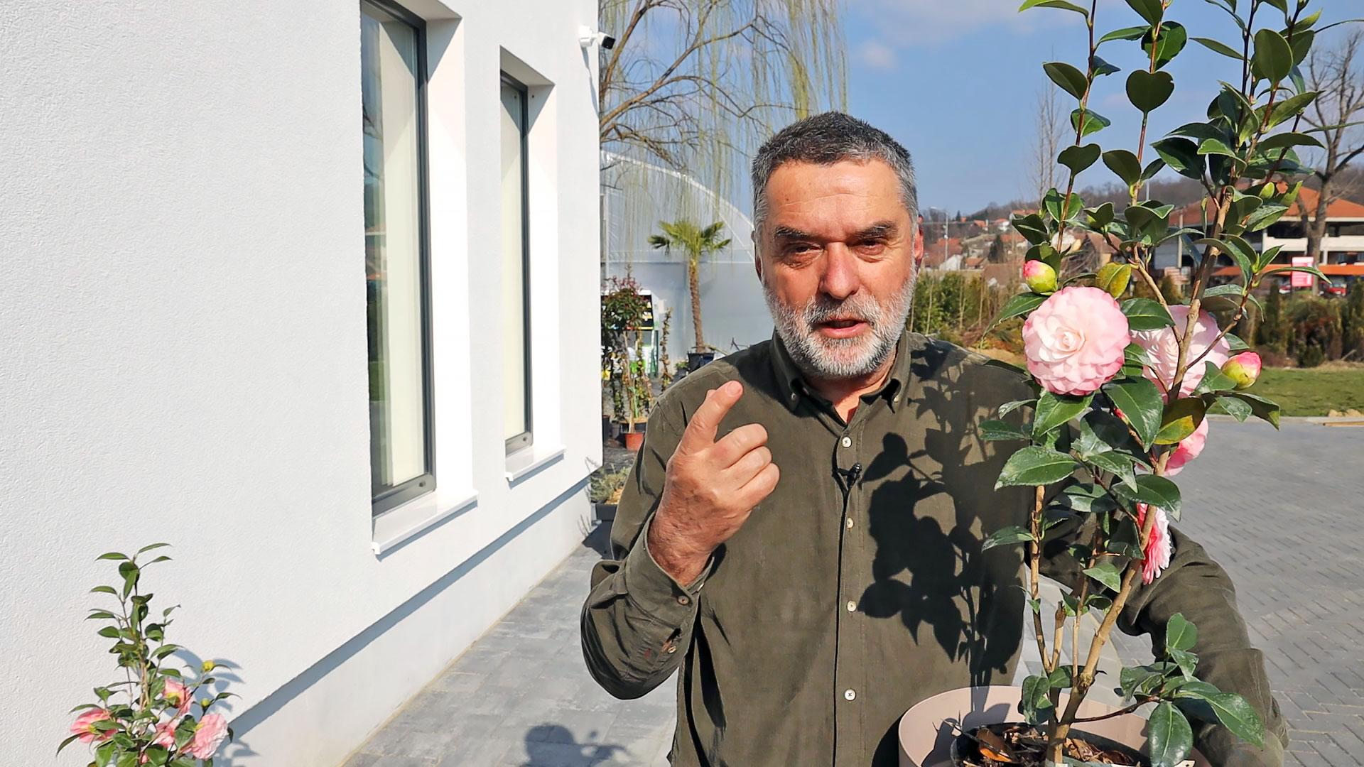 Najlepše prolećno cveće za balkon i baštu