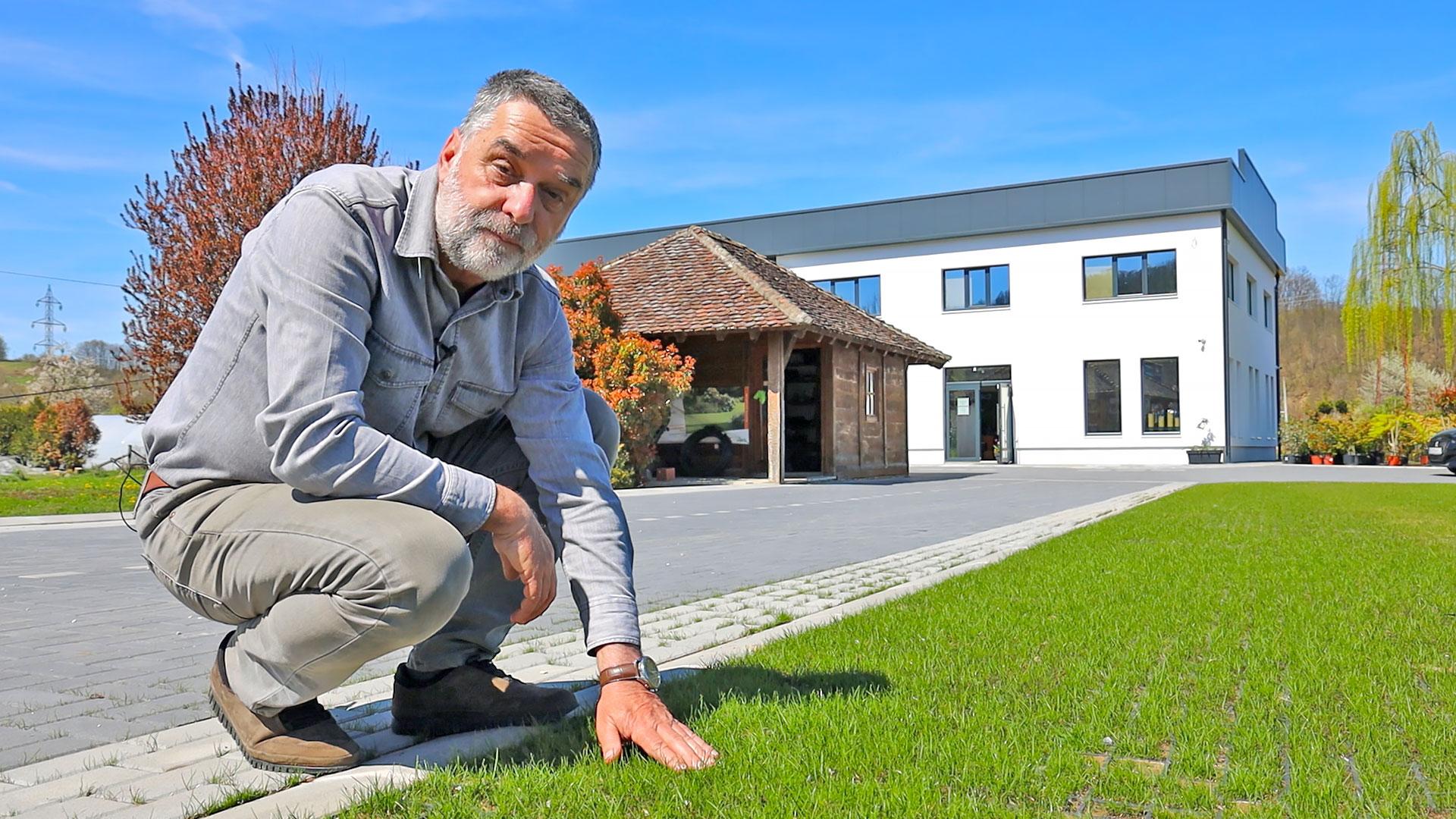 Prvo košenje novog travnjaka - kada, kako i sa čime