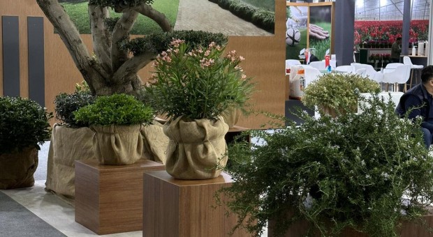 Sajam hortikulture u Istanbulu – utisci i zapažanja
