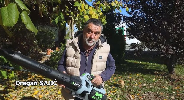 Šta raditi u novembru u dvorištu