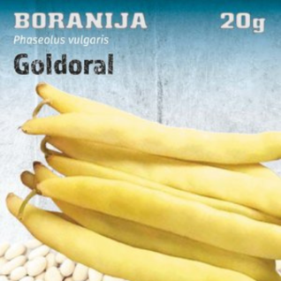 Boranija Goldoral seme