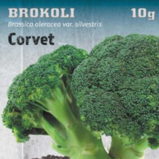 Brokoli seme