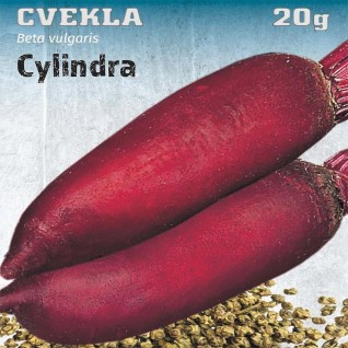 Cvekla Cylindra seme