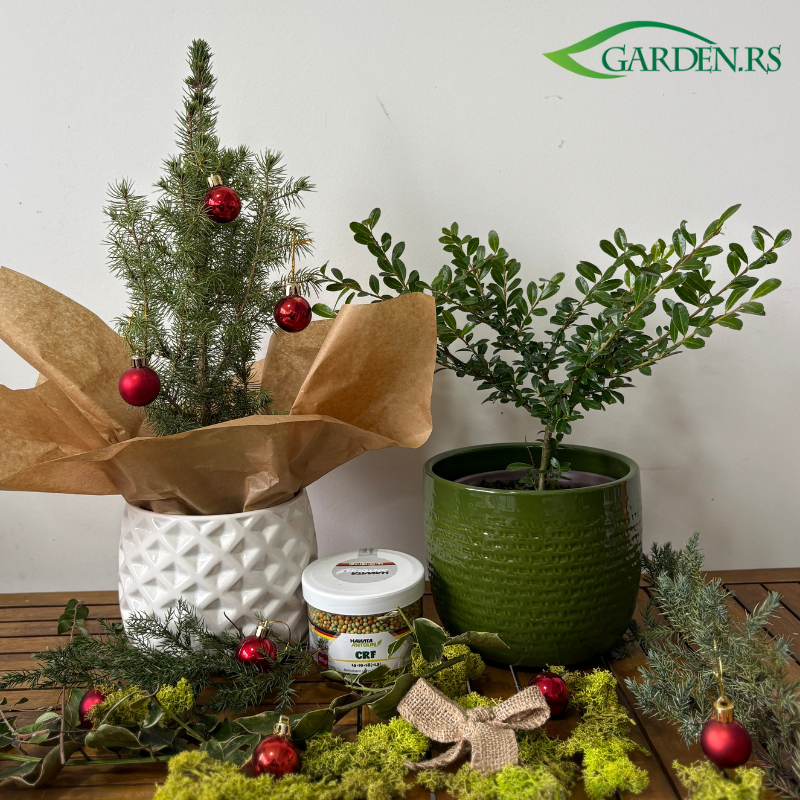 Garden.rs baštenski poklon