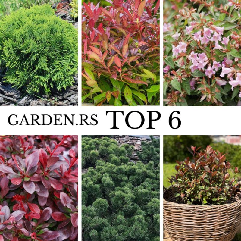 Garden.rs Top 6