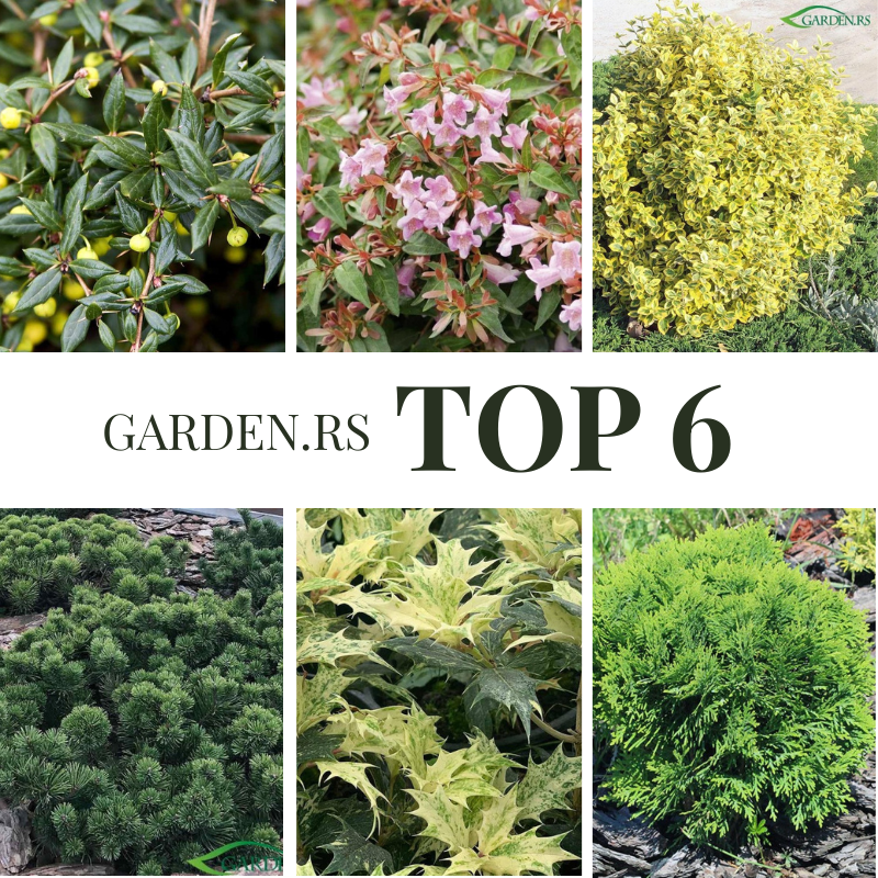 Garden.rs Top 6