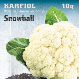 Karfiol seme