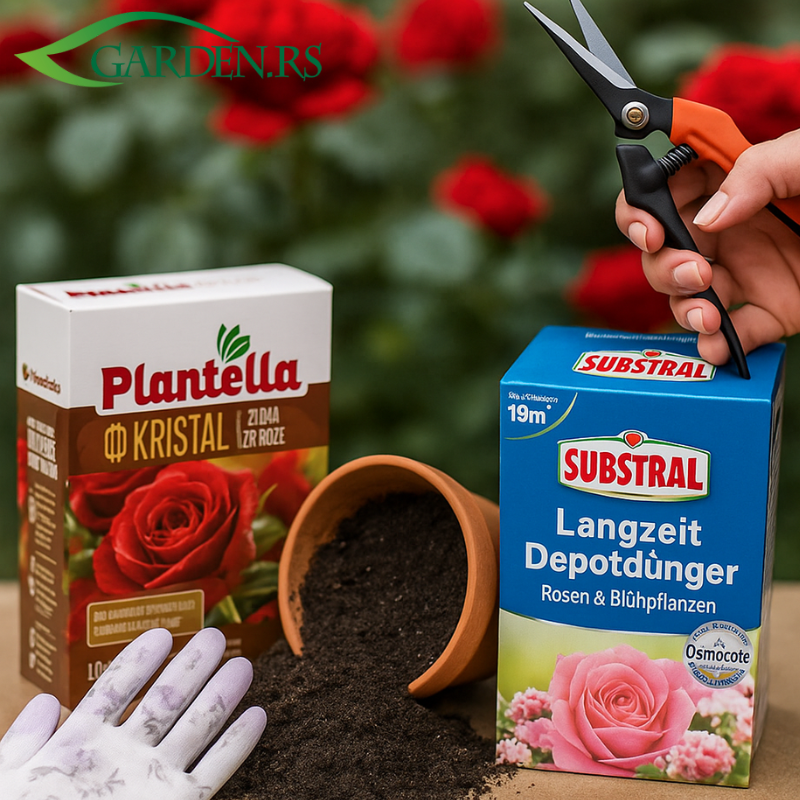 Komplet za raskošne ruže