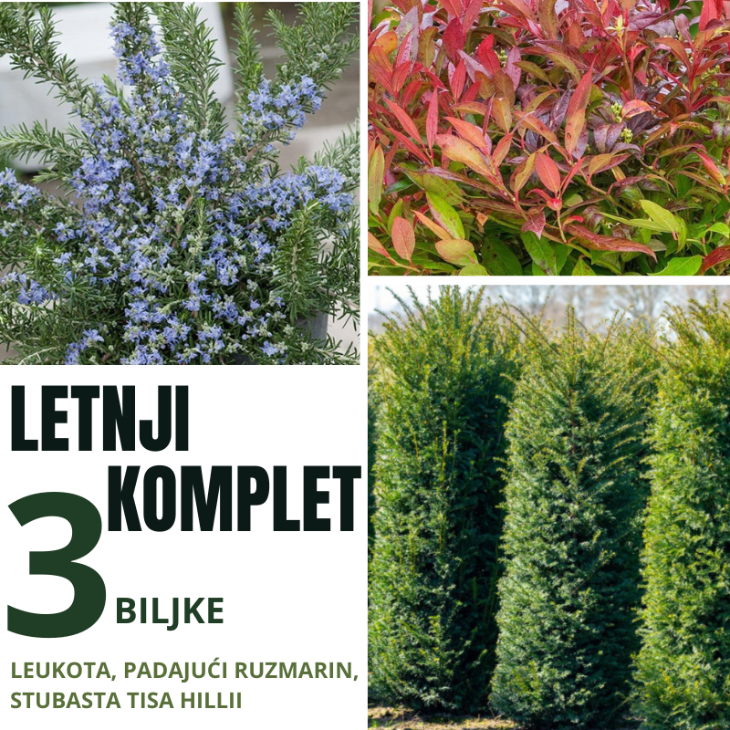 Letnji komplet