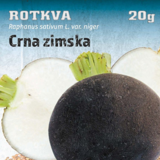 Rotkva - Crna zimska seme