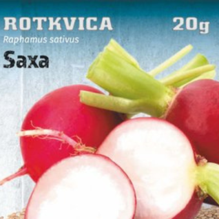 Rotkvica Saxa seme