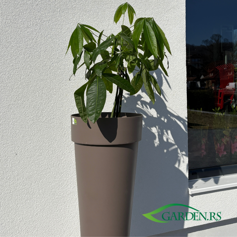 Saksija Melros visoka okrugla 65 Moka