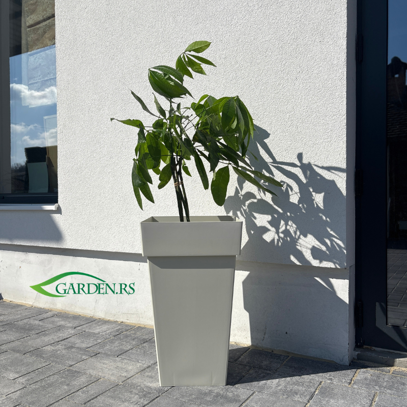 Saksija Melrose kvadrat 43cm Bež