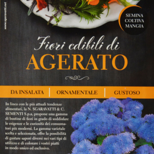 Seme Ageratum- jestivo cveće